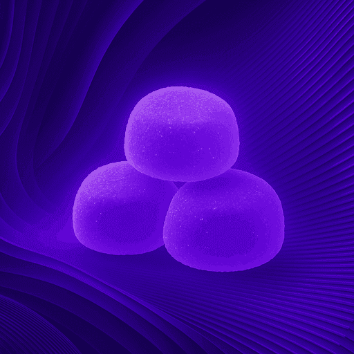 Toy Store SEO That Drives Seasonal & Year-Round Revenue