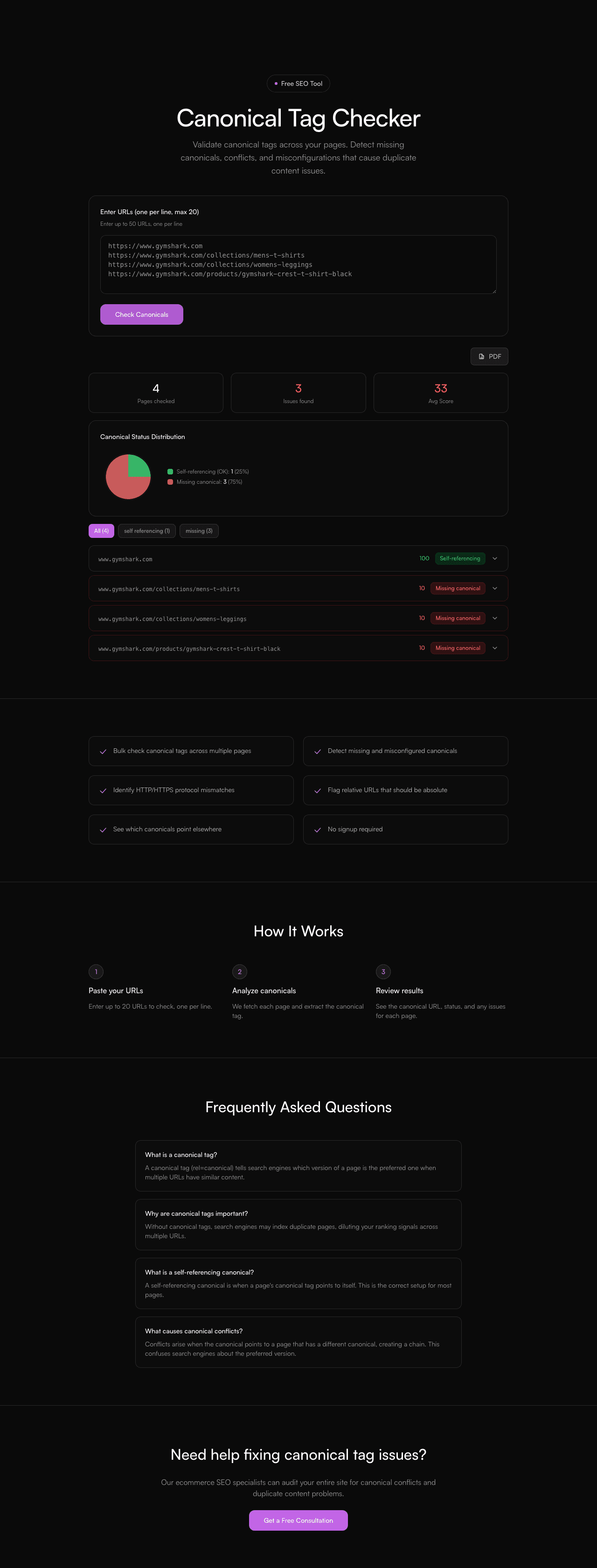 Canonical Tag Checker report preview showing the results layout, categories, and recommendations